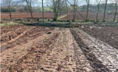 Farmer sentenced after cutting down trees in Herefordshire