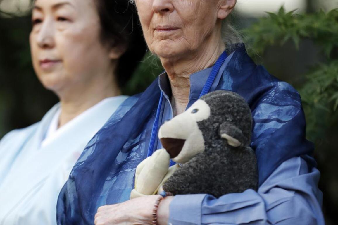 (Hello Africa) Jane Goodall, whose Tanzania research reshaped primatology, dies at 91