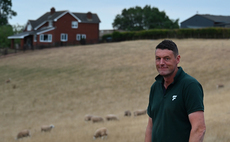 Home-bred stock at the heart of Herefordshire farm 