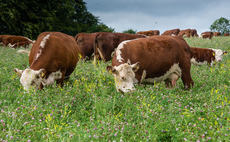 Farm groups express fury at Government plans to accept US food safety standards