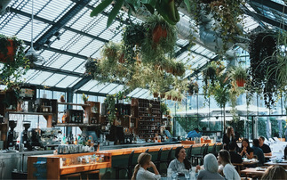 Zero Carbon Forum launches green products and services directory