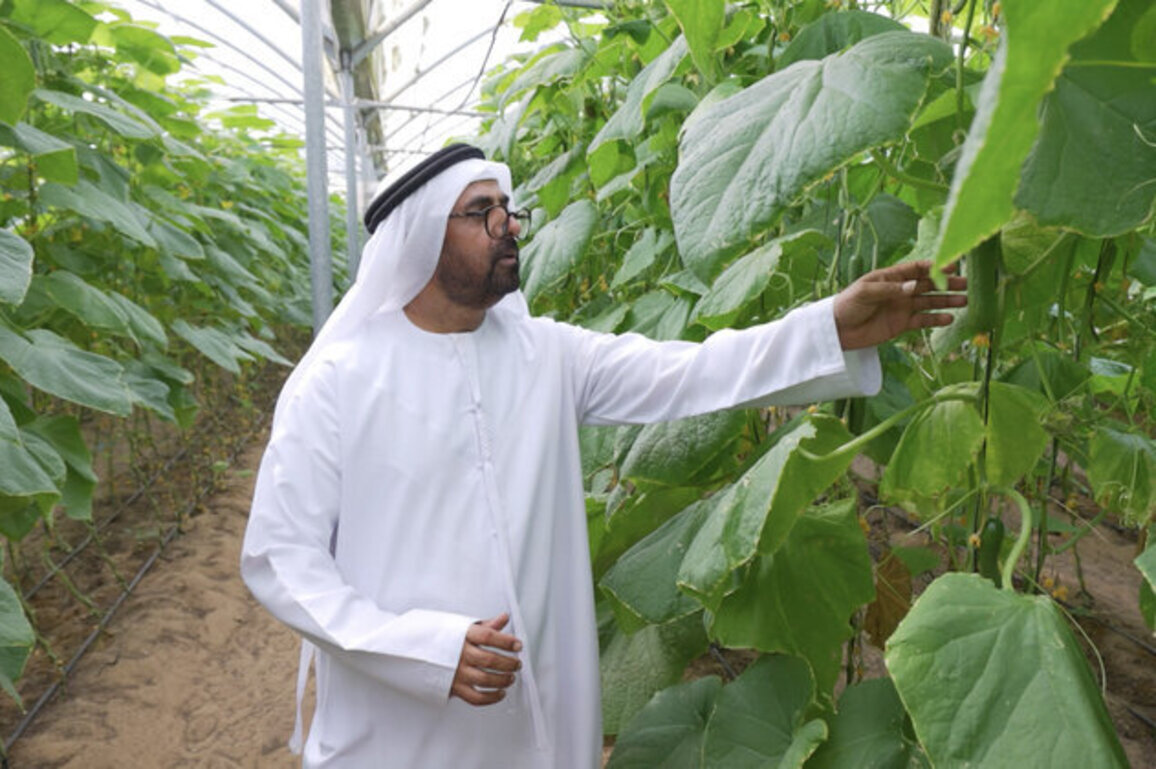 Silal, National Agricultural Centre join forces to empower UAE farmers, enhance food security