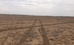  Forums will be held next week in Victoria to help with wind erosion management. Picture Mark Saunders.