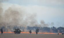 A staged approach is best when it comes to post-fire management of pastures and soils. 
