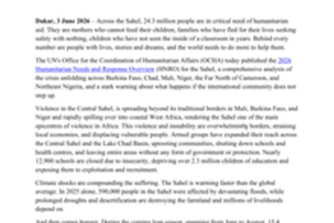Mali: More than 24 million people in the Sahel urgently need aid