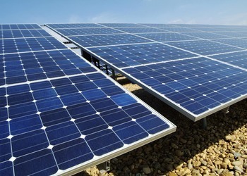 EDF launches green grant programme for small businesses 