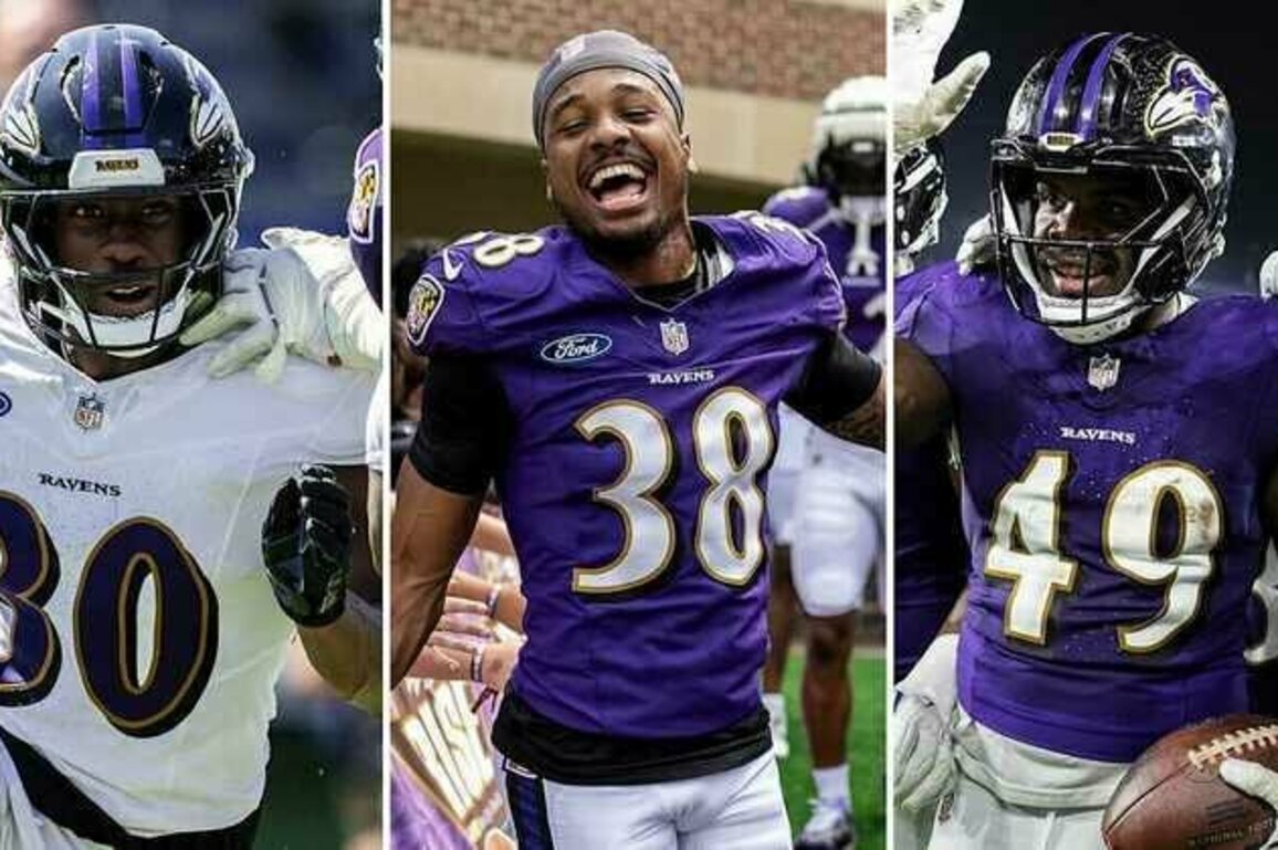 Dreams Come True: Story of the Undrafted Rookies Who Made It