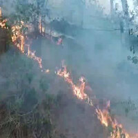 Rajouri forest fires rage across multiple locations, firefighting operations underway
