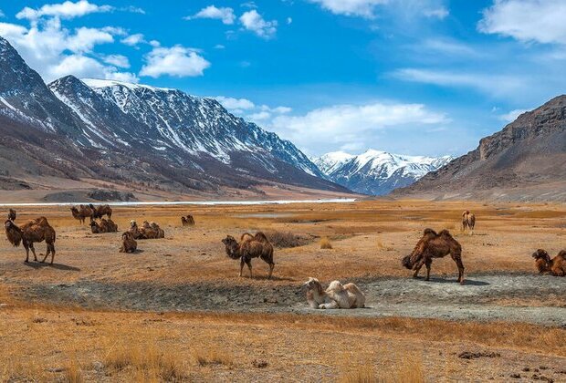 15 breathtaking PHOTOS of the Russian STEPPE