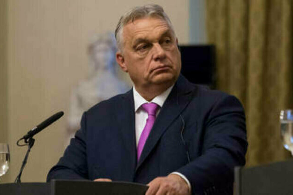 Hungary moves to expose USAID funding