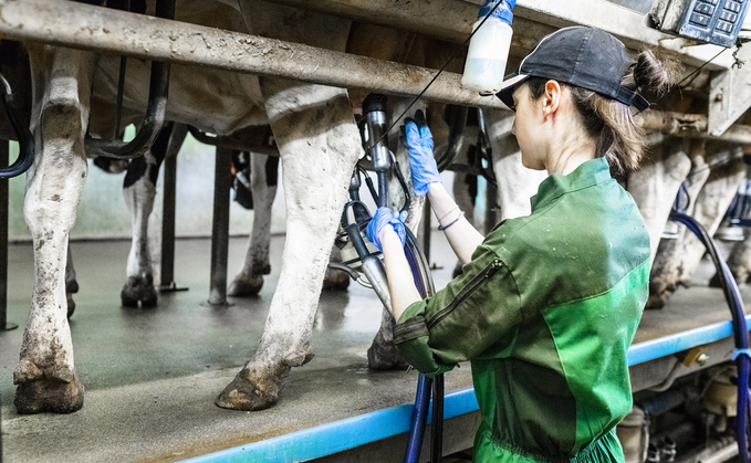UK Dairy Day: Opening up dairy farm labour talent pools