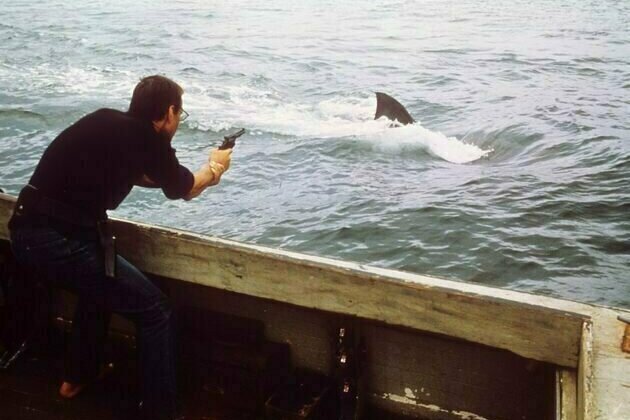 Jaws at 50: a thinly disguised western by a nerdy young filmmaker that helped to rejuvenate Hollywood