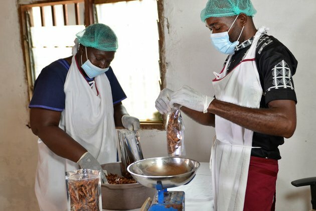 Food Heroes: Cameroon&#039;s shrimp entrepreneur