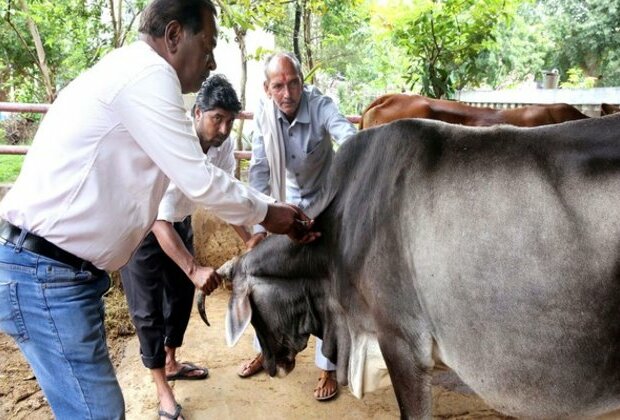 2,203 cows vaccinated against lumpy virus in Mumbai