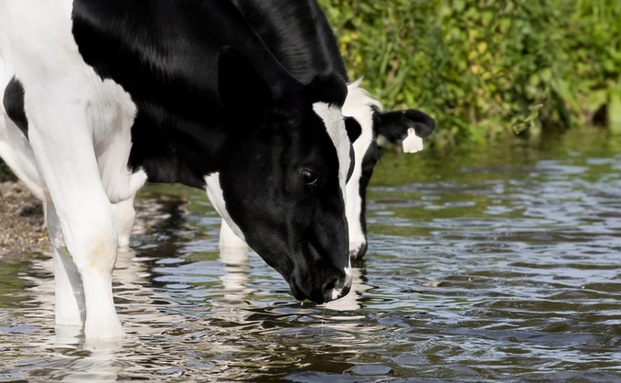 Farmers can get support from Severn Trent to protect waterways.