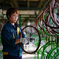 Cycling boom fuels economy, urban vitality in north China city