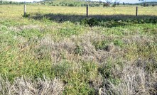  The ideal combination of rainfall and mild weather will provide sufficient food reserves for locusts.