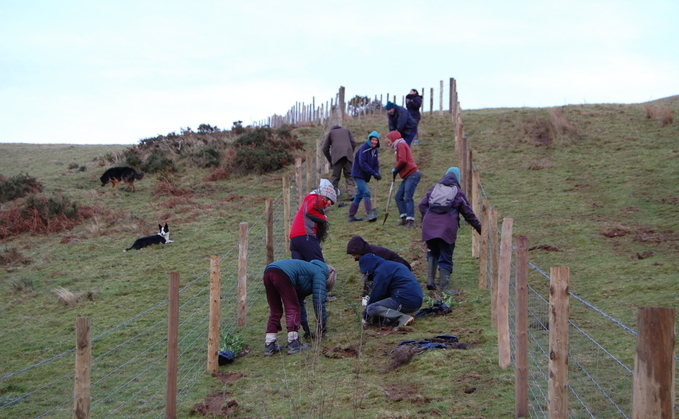 Farmer and flood victims join forces to plant 100,000 trees