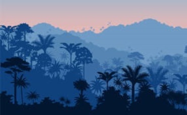 COP16に向けての3つの新たなビジネストレンド