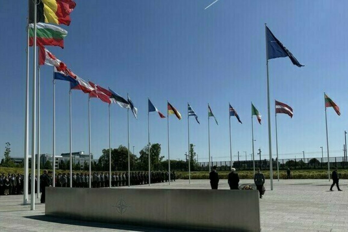 Ukraine membership out of NATO summit statement  Bloomberg