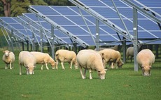 Five ways farmers can save money on energy bills