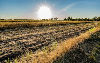 Credit: iStock