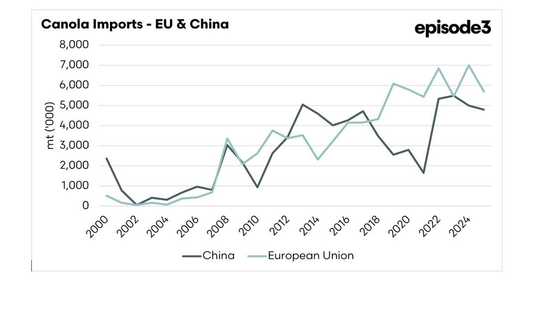 China's return as a buyer of Australian canola is great news for grain growers.
