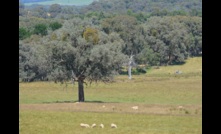  CSIRO explain drought susceptibility during El Niño events. Photo Mark Saunders. 