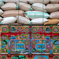 Pakistan: Punjab's wheat movement ban sparks flour crisis, provinces protest