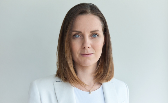 The future of professional trustees and the schemes they serve