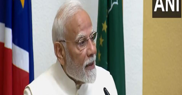 'Cheetahs are happy, have adapted well to new home': PM Modi thanks Namibia for help in Cheetah reintroduction in India