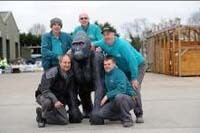 Ridgeons helps GoGoGorillas! to get going