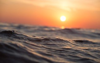 'Scale and potential': New Marine Carbon Dioxide Removal Coalition launches