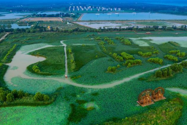 Shandong Gaoqing County: A Bird Paradise in the Land of Rivers
