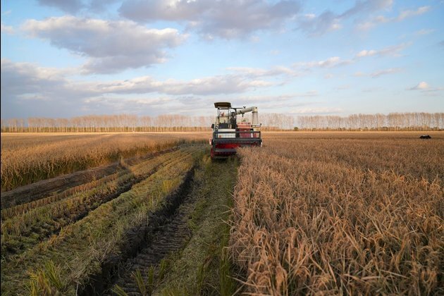 Factbox: China&#039;s agricultural progress in 2020