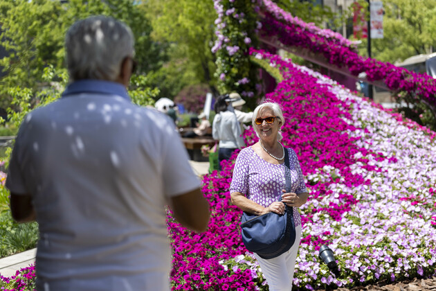 Instant tax refunds give wings to China Travel