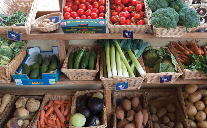 Taking on a diversification project needs careful planning and consideration