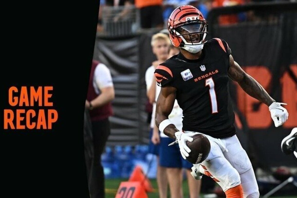 Bengals Fall to Lions 37-24 | POSTGAME RECAP, NOTES & QUOTES