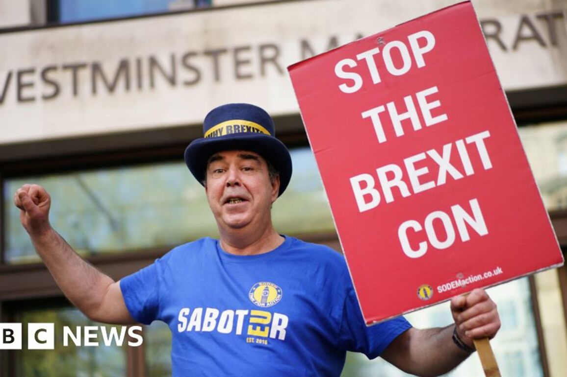 'Stop Brexit man' Steve Bray cleared over noisy protest