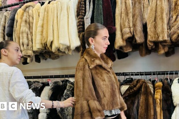 Fur imported and sold in the UK should be banned says Welsh MP