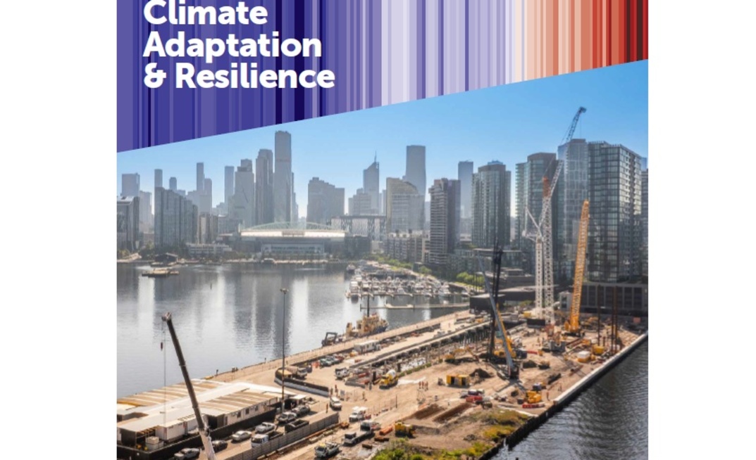 EFFC/DFI Sustainability Guide No.3: Climate Adaptation & Resilience
