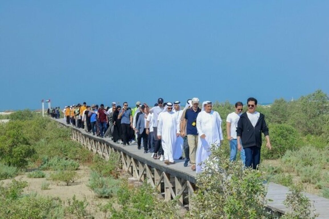 DEWA, Emirates Marine Environmental Group plant 13,350 mangrove trees