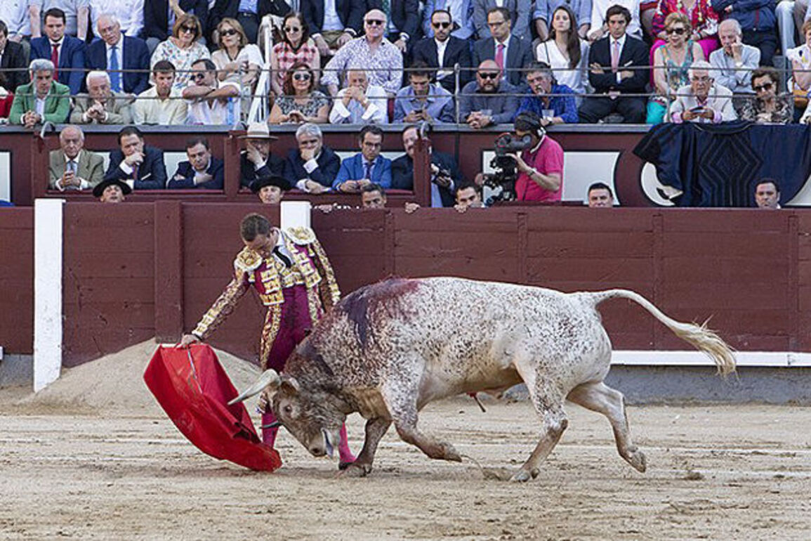 Court rejects appeal as Colombia phases out bullfighting, cockfighting