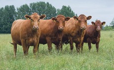 Farmer calls on peers to act now to make a difference on climate change