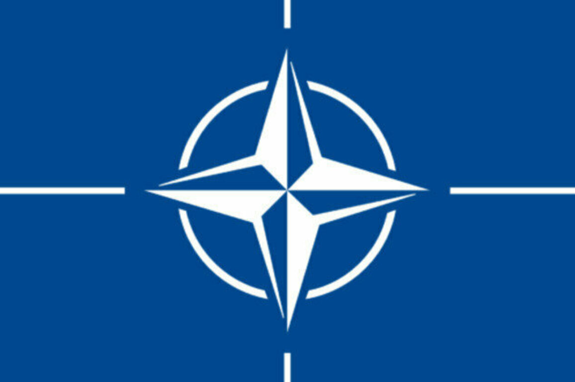 Dutch launches operation Orange Shield to keep NATO summit safe