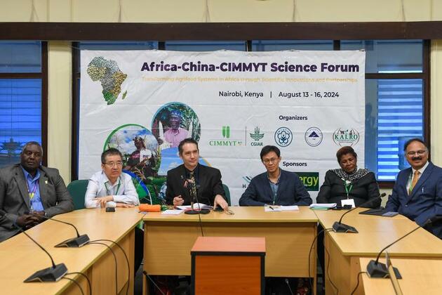 China's experience, tech advancements crucial to promoting Africa's modernization, says UN official