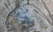Murrawombie pit operations within Tritton, New South Wales