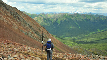 The Rogue project in Yukon, Canada. Credit: Snowline Gold