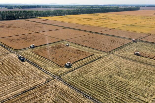 Smart agritech machinery drives China's push toward modern agriculture