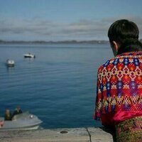 The European Union excluded Greenland from public consultations on the EU seal product ban. Why?